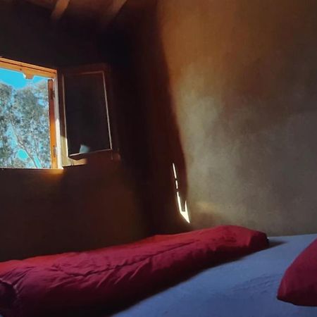 Tunis Camp Fayoum ภายนอก รูปภาพ