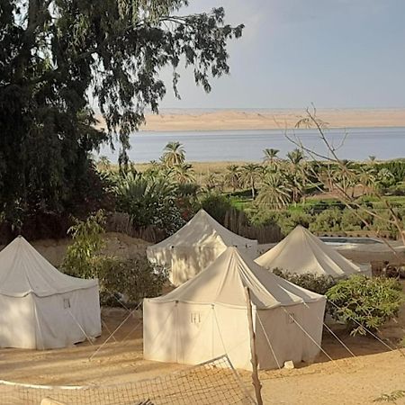 Tunis Camp Fayoum ภายนอก รูปภาพ