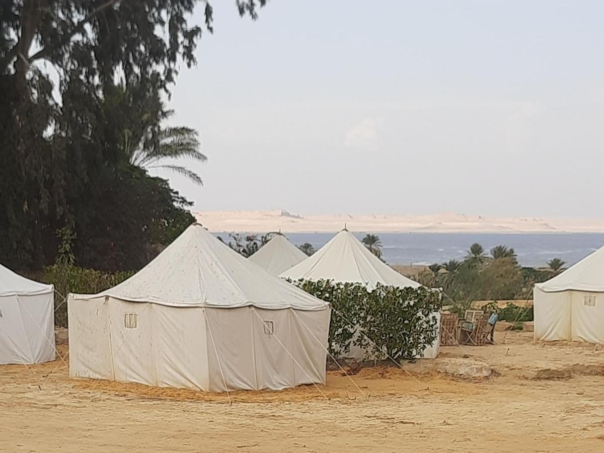 Tunis Camp Fayoum ห้อง รูปภาพ