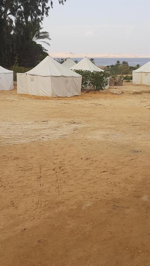 Tunis Camp Fayoum ภายนอก รูปภาพ