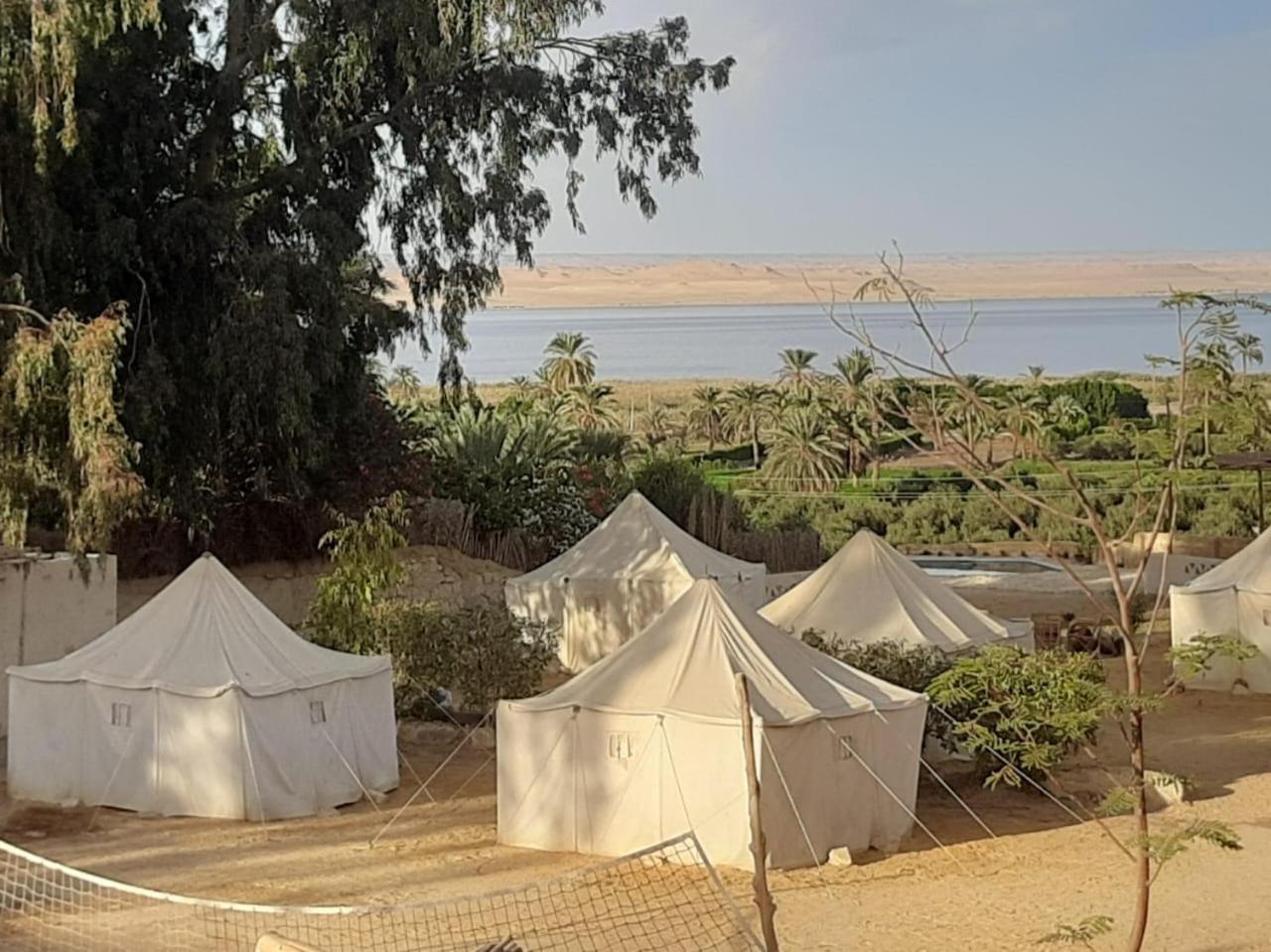 Tunis Camp Fayoum ภายนอก รูปภาพ